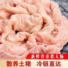 20�����r����i���c���Ʒ�i���c������o������ʳ�Ĳ������c�^