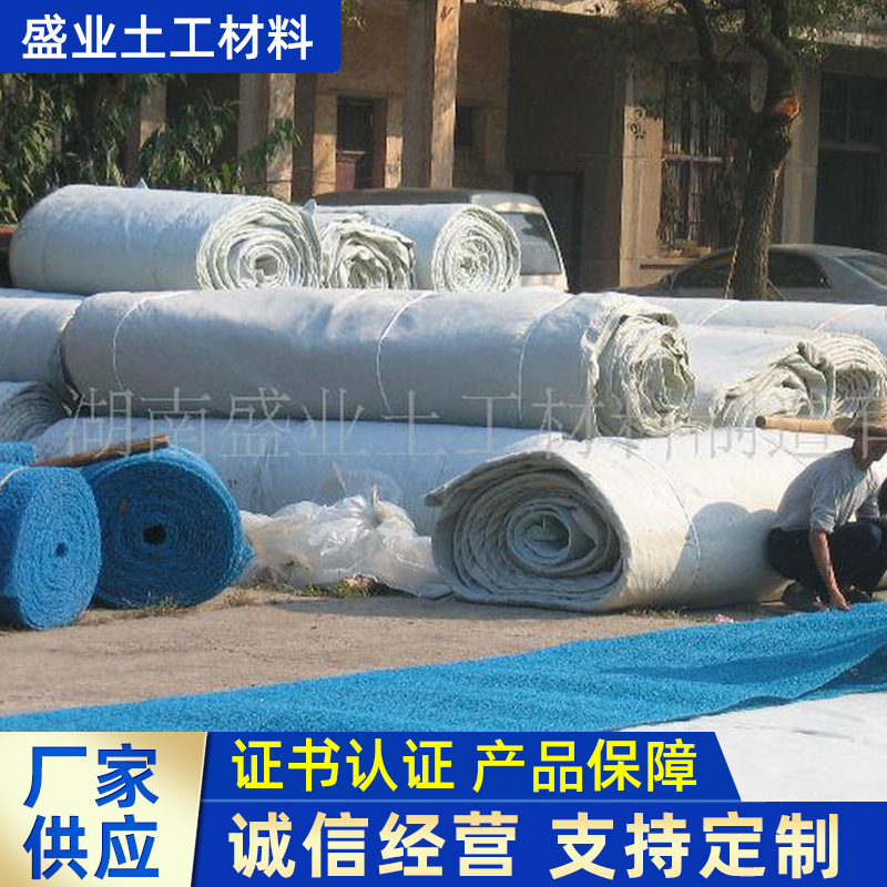 厂家供应土工席垫 垃圾填埋场污水处理过滤土工排渗褥垫席垫