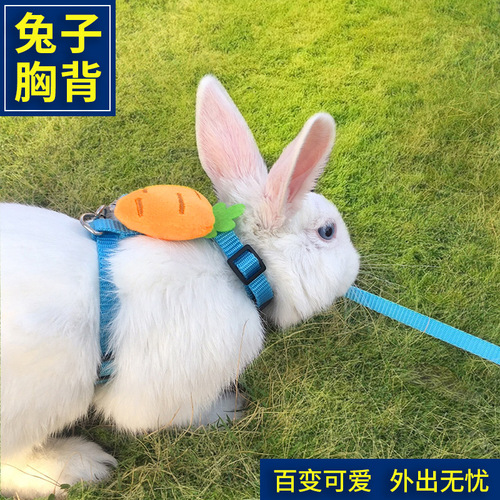 Rabbit Harness Pet Leash Cartoon Fruit Cat I-shaped Harness When Going Out to Walk Rabbit Rope