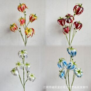 5�^���m�ٺϼtɫ�b����滨�ָл���ٺϼҾ��b�ˇ�廨�zӰ