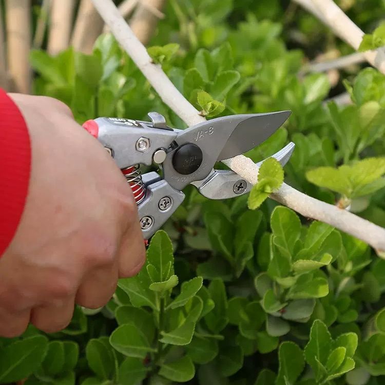 ARS爱丽斯-VA-7Z8Z修枝剪 家用园林工具果树粗枝剪省力园艺剪枝刀