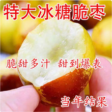 ������玧����Nֲ�޽��ش󶬗����ǽ�z󴗗�ϱ���ͥԺ���Թ���