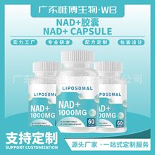 nad+�z�ҬF؛�羳֬�|�wܛ�z�ҬF؛����&beta;-�������κ������z��