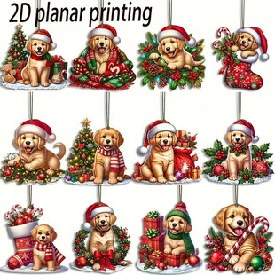 24���}�Q��ë�CȮľ�ƒ�����b  �m����}�Q�䡢�Ҿӡ��ж���