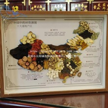 图标中医分布地药材标本标本医院国道新款地图中国展示装饰画装饰