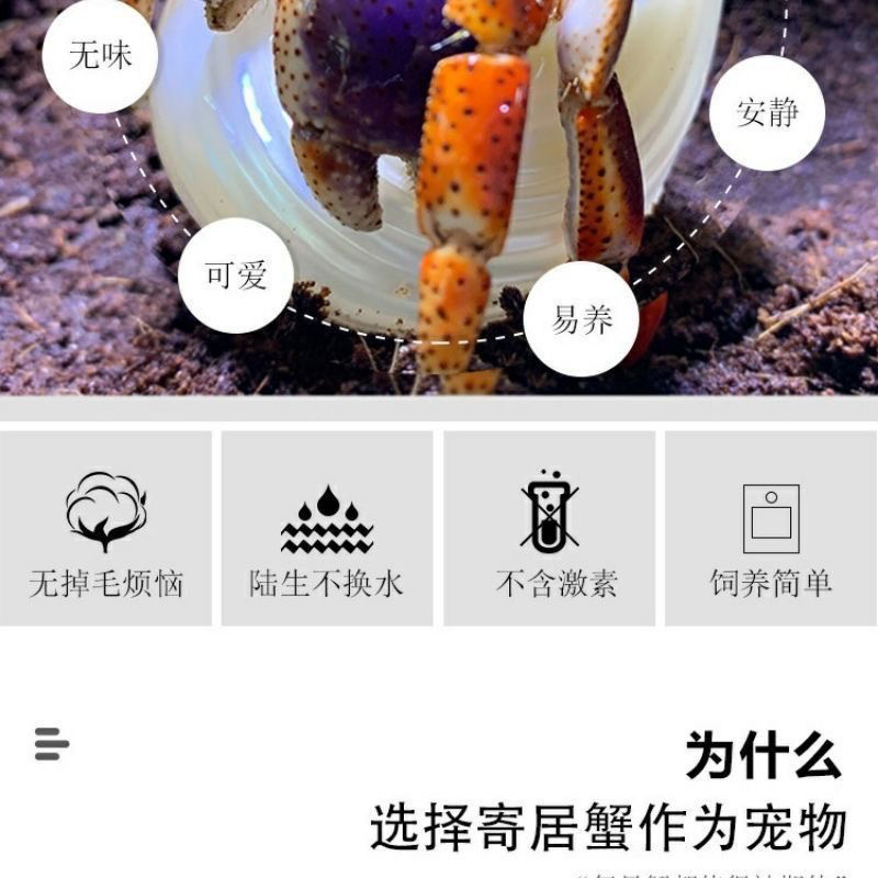 93e77675-6757-4e86-bd42-9eec17d96eeb.jpe