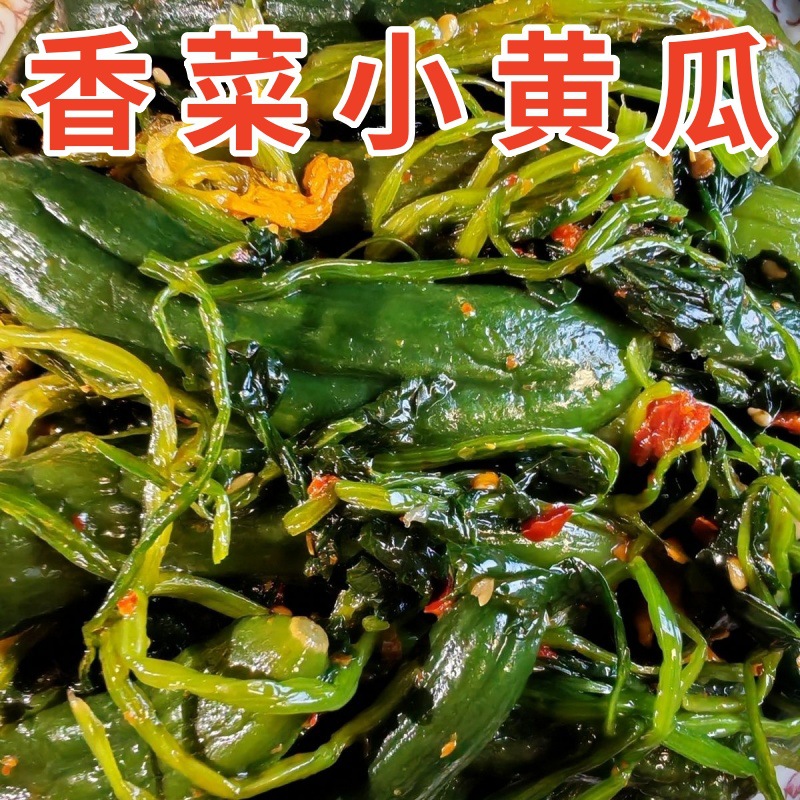 香菜小黄瓜咸菜东北特产下饭菜解腻爽口开胃泡菜蔬菜黄瓜批发代发