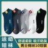 Male short socks [SP]