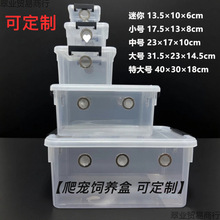 ������B�� ��D�،m֩��������ݽ���ϐ�Ӹ����͸����B��