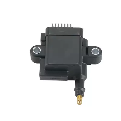 Spot 300-8m0077471 300-879984t01, Alovlanma bobini (Babinalar)