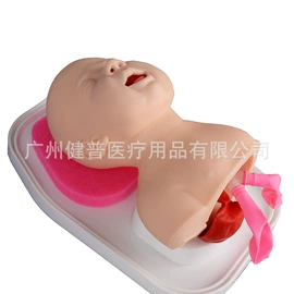 教学演示用品;医药教学器材