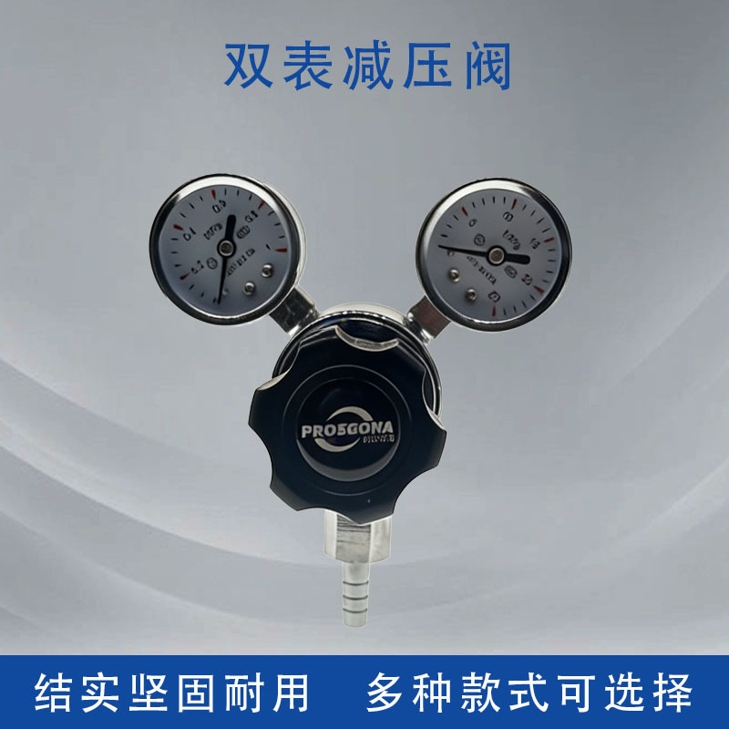 乐工氧气瓶双表减压器中心供氧吸氧装置压力表流量表减压阀