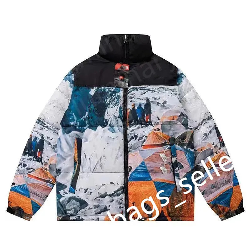In Stock: Winter Tnf1996 Classic 700 Embroidered down Jacket for Men and Women, Couple's Cross-Border Cold-Proof and Warm Coat