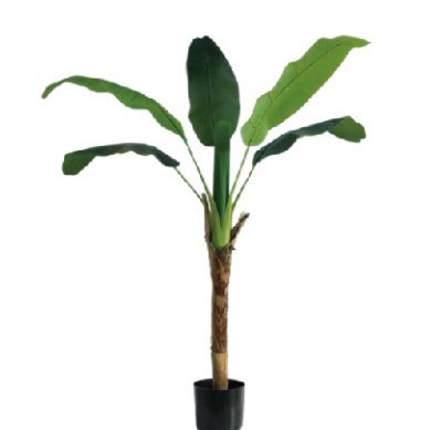 Árbol de plátano de simulación personalizado Árbol de plátano de simulación de venta caliente de Amazon Árbol de plátano de simulación de tiro de boda