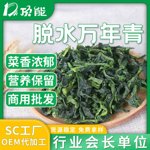 �F؛����Óˮ�ϙ�˸� ADÓˮ�f����Ƭ ��ɹ�ˇ �߲˲������