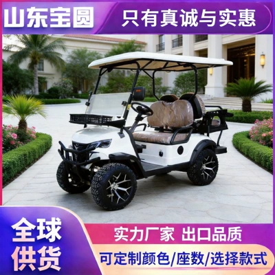 Foreign Trade Supply Golf Carts for Tourist Attractions and Hotel Shuttles, 2-8 Seat Electric Golf Carts
