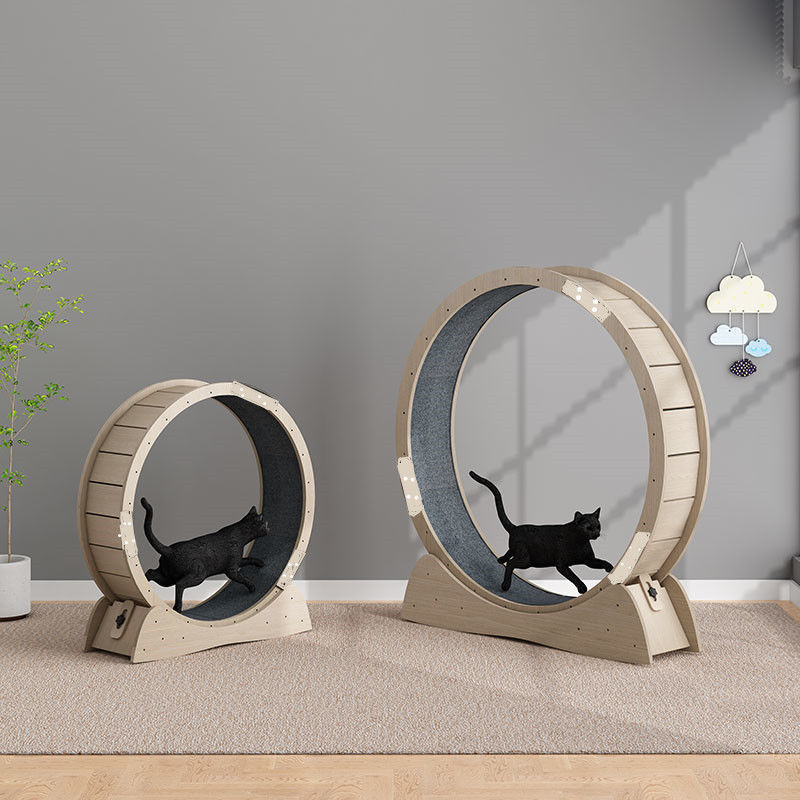 고양이 런닝머신 인터넷 연예인 모델 롤러 샤프트리스 다층 단단한 보드 트랙 롤러 피트니스 고양이 장난감 제조 업체 직접 판매