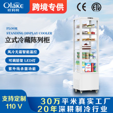 四面玻璃冷藏展示柜商用立式保鲜冰柜便利店冰箱跨境饮料冷柜