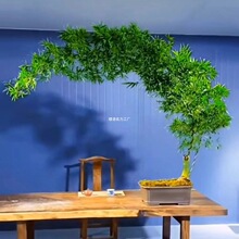 �Gֲ���B�҃�����ʽ��Ʒ���˱�����������ֲ��������С�~�Ϙ��T��