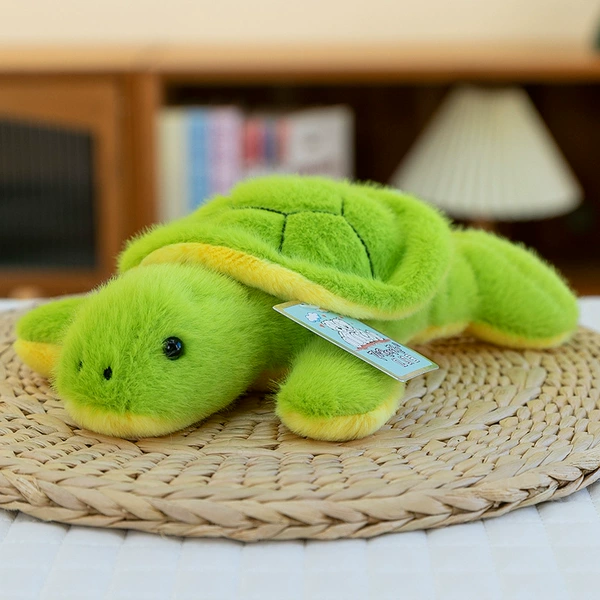Green turtle