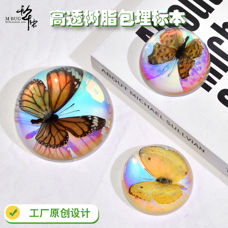 Real butterfly amber insect specimen resin ornament animal art transparent semi-circular ornament children's gift