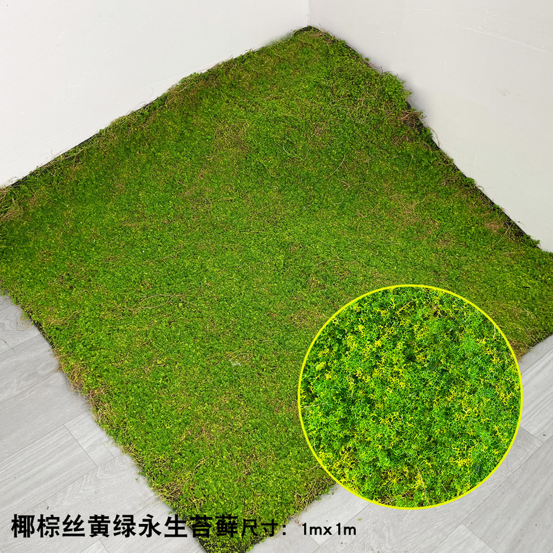 仿真苔藓绿色假青苔背景装饰 植物墙草坪微景观仿真苔藓草皮青苔|undefined