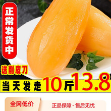 �����ɽѩɏ��12�����rˮ���������t���S��ѩ�B����������]