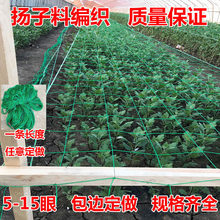 �ջ��W�Nֲ�W����ܰ��ܾ��S���S���[�Nֲ���;W�@ˇ�������پW