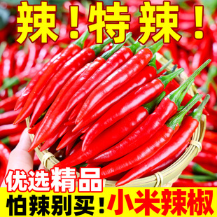 С���������r���lС�׽����콷����������Ƥ���t����ָ�콷3���b