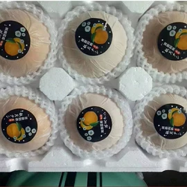 西式糕点;饼干;膨化