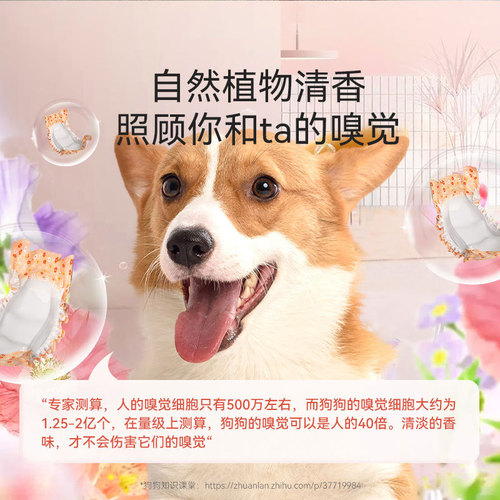 Pet menstrual pants, dog diapers, special safety pants for male and female dogs, aunt pants, sanitary napkins, scented diapers