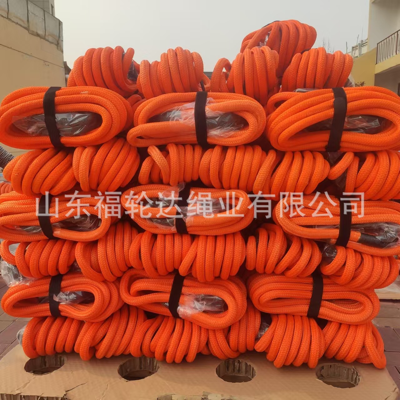 微信图片_20250206155443