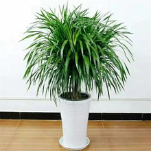 ��횘����Դ��Ϳ͏d���^�Gֲ�k���҃���Ѫ������С�玧���Ϙ��辰