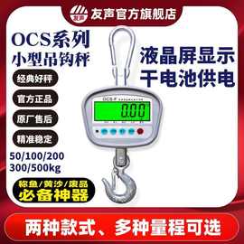 上海友声电子吊秤100200300500kg公斤1t吨电子吊钩秤吊磅挂钩