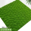 All -inclusive green bottom moss