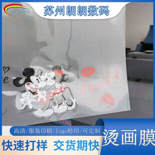 �S��ֱ�۟��DӡĤPETĤ�C��ĤDTFĤpetĤ�C��ĤA3A4Ƭ�b��Ͳ���