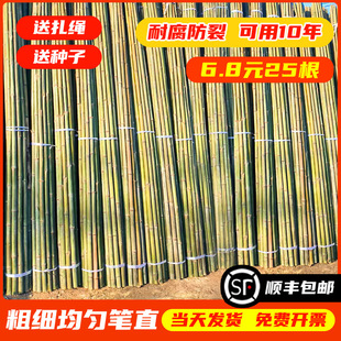 Bamboo Pole Vegetable Garden Trellis for Cucumbers, Tomatoes, and Beans; Bamboo Fence, Small Bamboo, Thin Bamboo Poles, Climbing Trellis