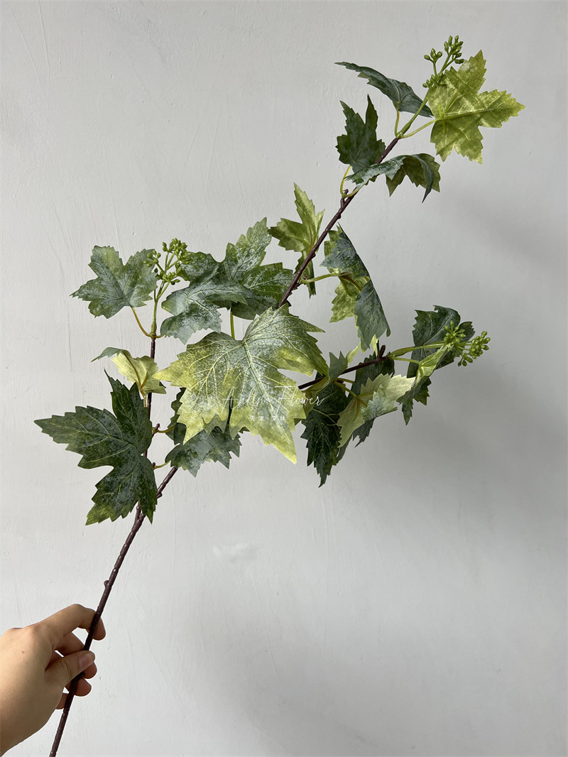 Grape leaves