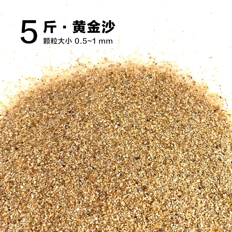 楸肩几搴曠爞閫犳櫙搴曟矙涔岄緹娌虫矙鍖栧
