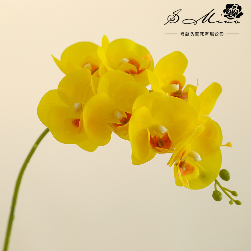 8 flores 3 hojas se sienten Phalaenopsis bonsai flor artificial de gama alta sala de estar decoración floral artificial en maceta flor artificial image 10