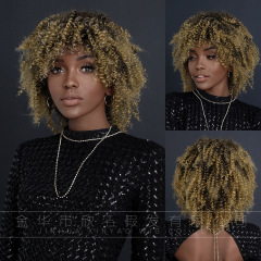 Curly afro wig欧米のかつらの女性のアフリカの巻き髪の黒人の爆発的な髪のかつらのふわふわしている化学繊維の頭のカバー