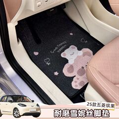 适用25新款五菱缤果专用丝圈卡通可爱地毯女生脚垫车内装饰用品