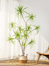 ���ͷ���ֲ����Ѫ�F�䱱�W�����Gֲ���Լ٘�Ҿӿ͏d�����b[��