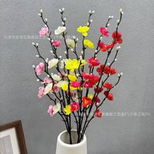 D÷ ʽ÷辰 t÷֧D÷צ֦廨cb