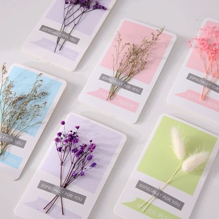 Ins Real Flower Dried Flower Greeting Card Rose Eucalyptus Leaf Immortal Flower Card Christmas New Year Thank You Blessing Message Card
