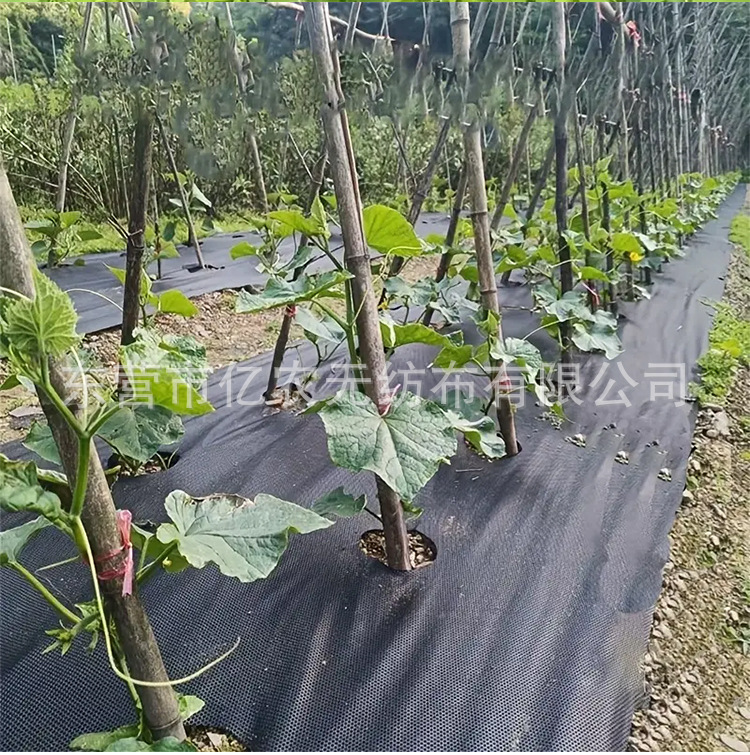 O1CN01v0Kx5w1bWgaEJ6RQH_!!2924243473-0-cib.jpg?__r__=1744185953027