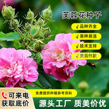 ܽطNձؿͥԺ̨ذܽɺ