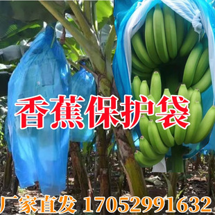 �㽶�״��������W���o����͸��ˮ���r�I�����Ž����x�B�w