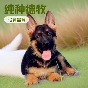 ���N������Ȯ�o�lȮ����Ȯ����Ȯ��Ȯ���w����С�������ǹ�����