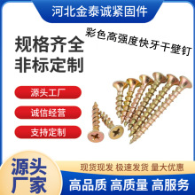 厂家自营彩色粗牙干壁钉高强度自攻螺丝螺栓快牙木螺钉宽扣